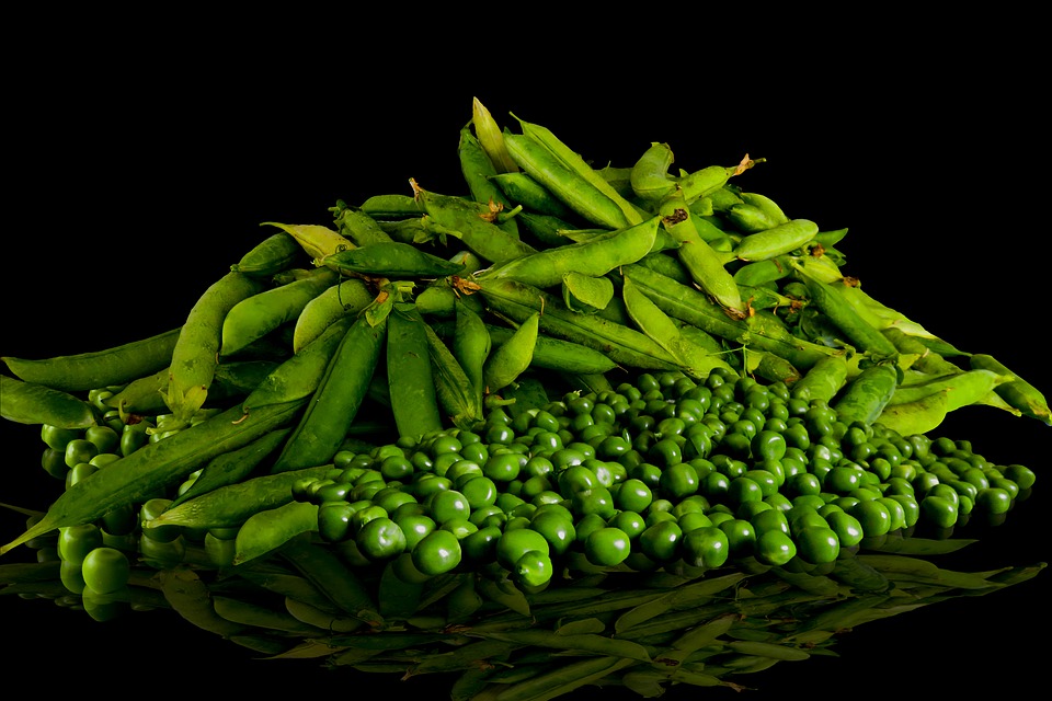 Groszek zielony, fot. pixabay.com
