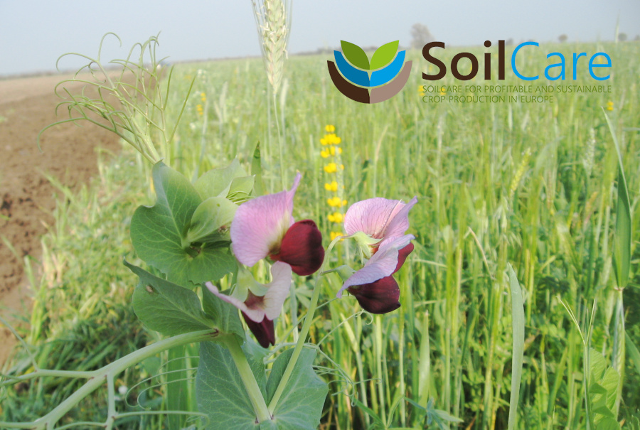 Projekt SoilCare - logo
