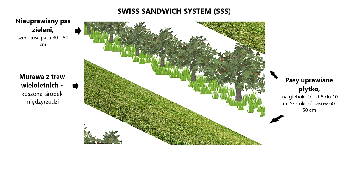 Ilustracja systemu SSS (autor: M. Ozdoba)