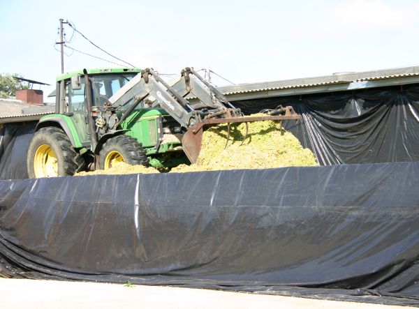 Folie rolnicze - jak postępować z odpadami w gospodarstwie rolnym?