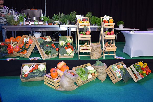 Warzywa i owoce na wystawie